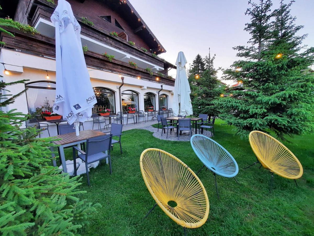Pensiune & Restaurant Victoria Păltiniş المظهر الخارجي الصورة