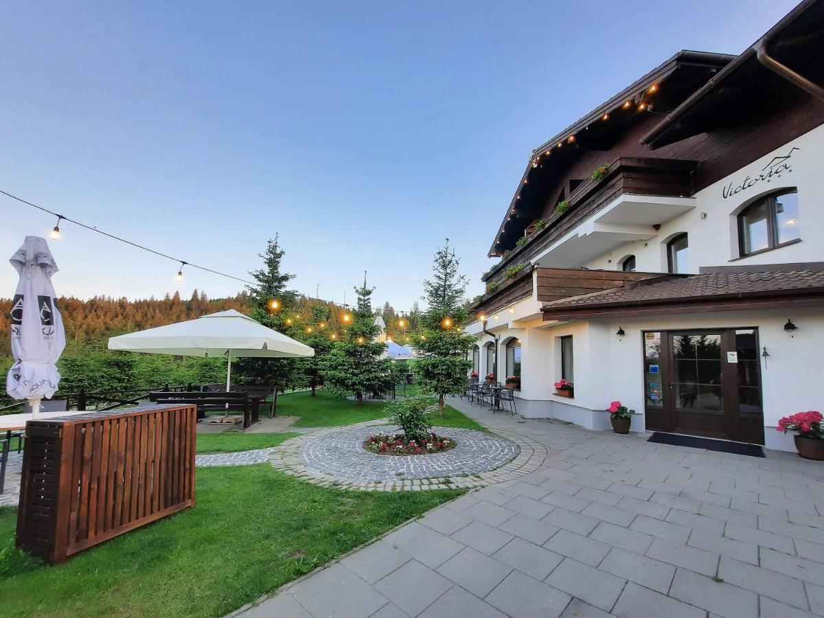 Pensiune & Restaurant Victoria Păltiniş المظهر الخارجي الصورة